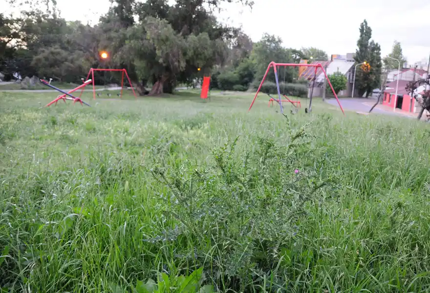 El paro y las lluvias causaron un atraso en el mantenimiento de los paseos