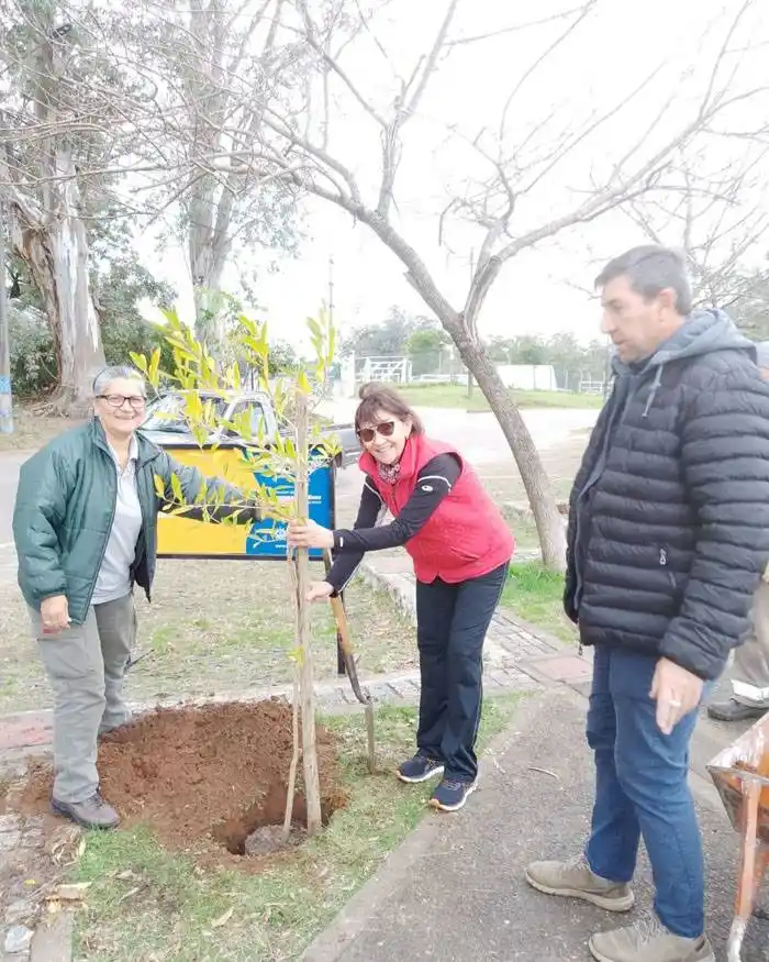 Arbolado urbano: se sembraron 30 especies autóctonas