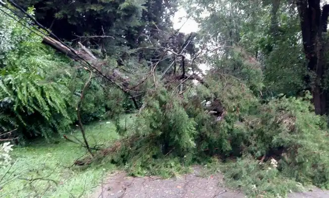 Temporal trágico en Pilar: Murió una madre y dos hijas 