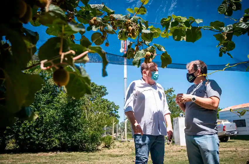 Montenegro: "Acompañamos al sector frutihortícola que genera 20 mil puestos de trabajo para los marplatenses"