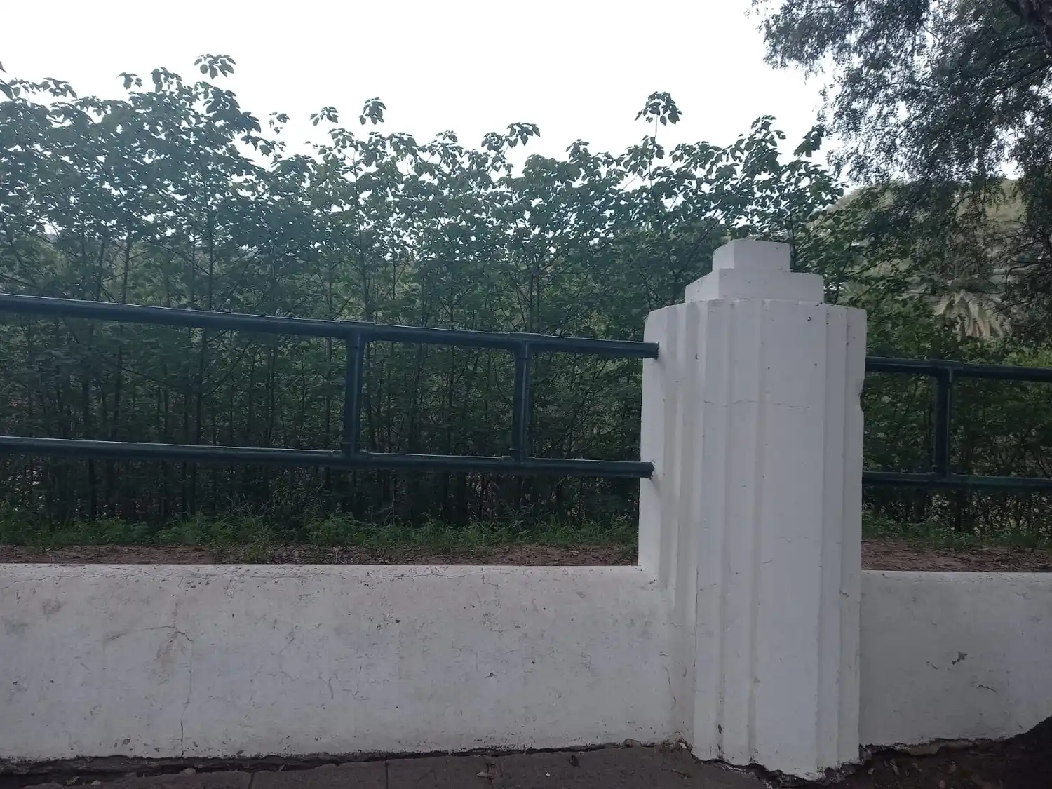 “Podrían cortar las plantas en el Boulevard”