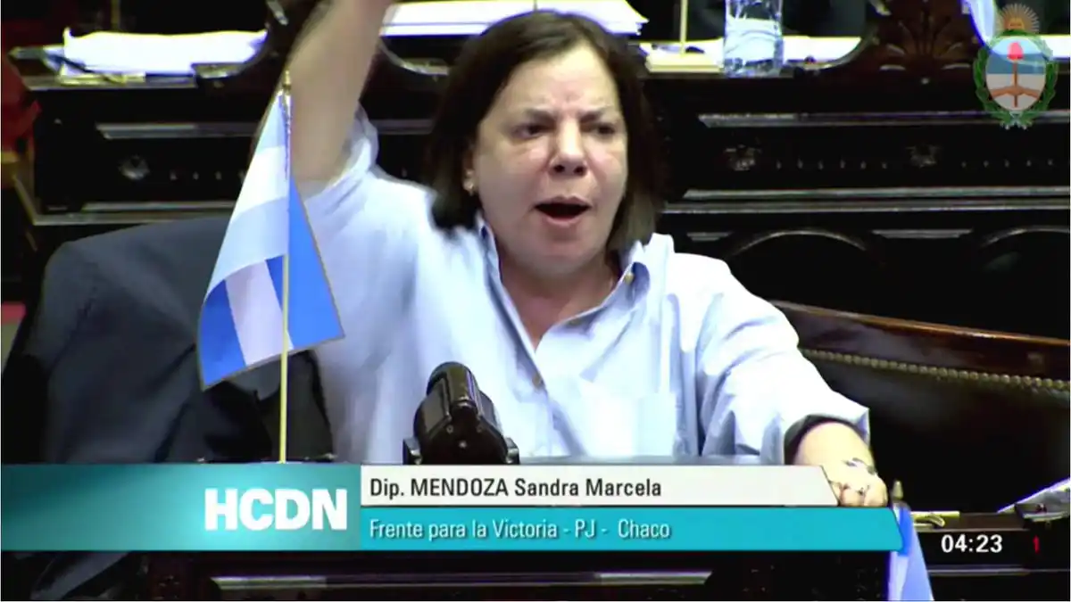 Las bizarra guerra entre dos diputadas en medio de la sesión por la expulsión de De Vido