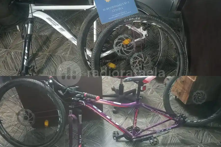 En un camino rural, en actitud sospechosa y con dos bicicletas en el baúl: eran robadas