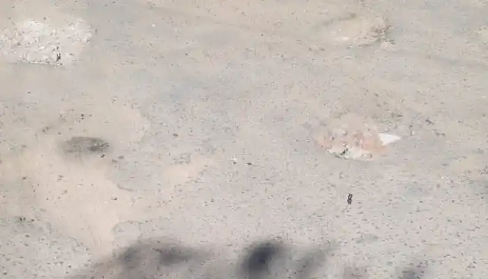 Maestro Reyna al 700