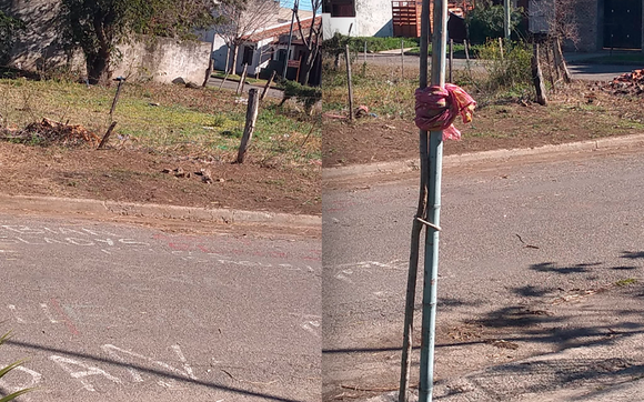 Limpieza en Aníbal de Antón y Perón: “Por favor, no tiren más basura”