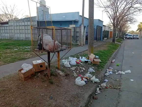 El Municipio recuerda la importancia de embolsar correctamente los residuos