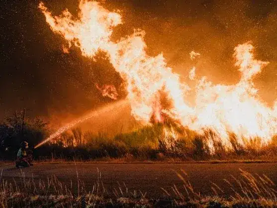 España registra incendios forestales en medio de la ola de calor