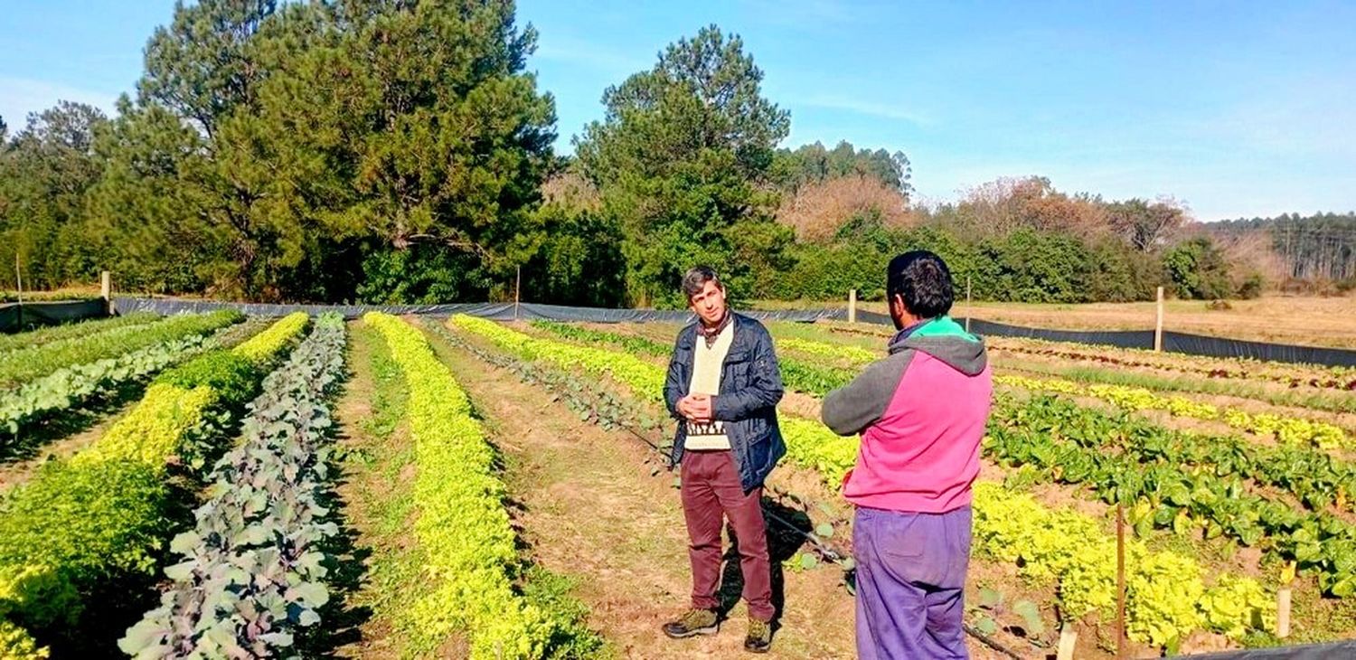 La Municipalidad de Concordia fomenta la producción y los emprendimientos hortícolas