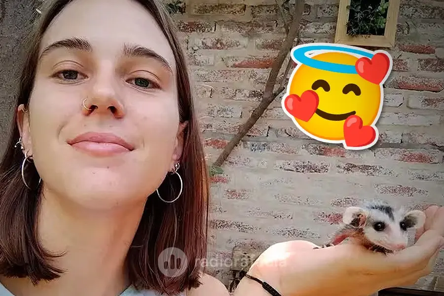 Una joven de la región se volvió viral por salvar de la muerte a una zarigüeya bebé