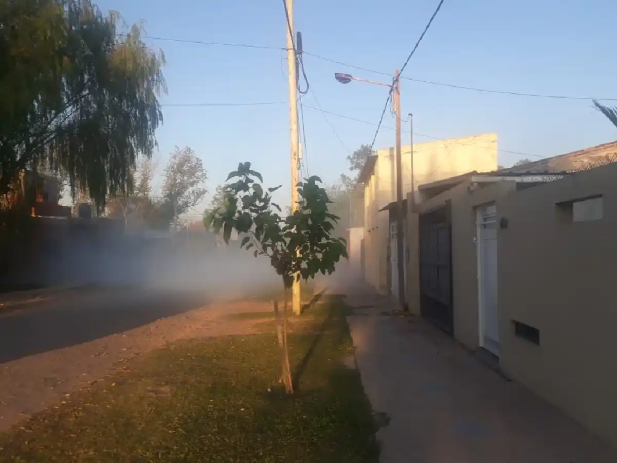 En Frontera hay 7 casos de dengue y ninguno de coronavirus