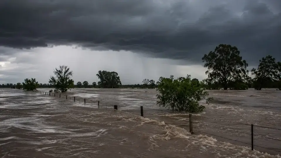 El Niño: el mapa de lluvias anticipa mayor riesgo para el Litoral y otras regiones de Argentina