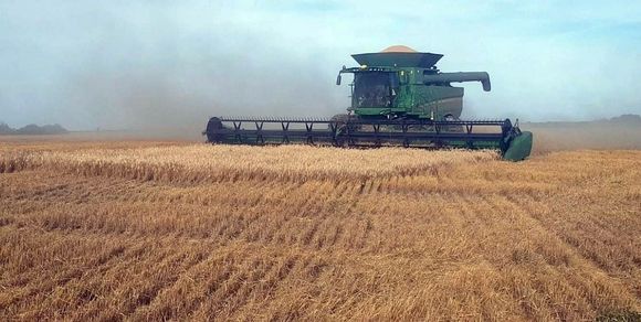 Heladas traen alivio al agro: se reactivan siembras de trigo y se destraban cosechas en la región núcleo