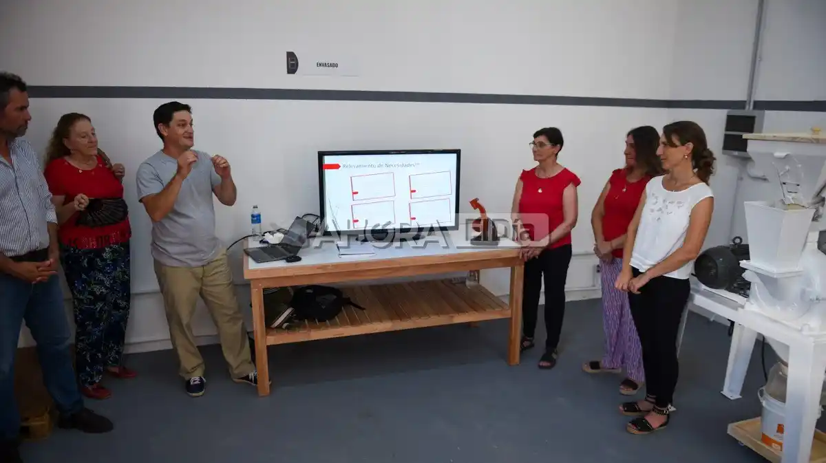 acela molino harina sin tacc - 4