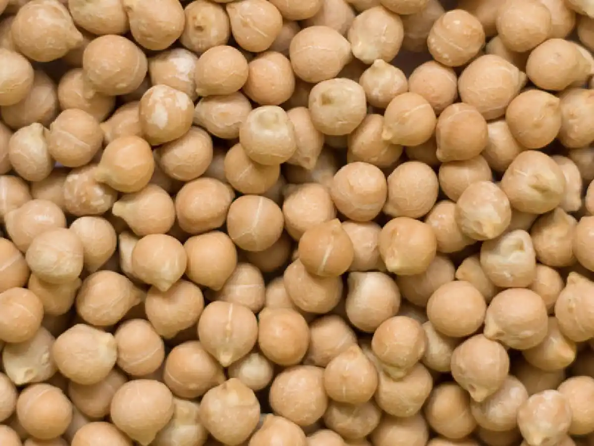 Garbanzo: la producción creció 79% en Córdoba