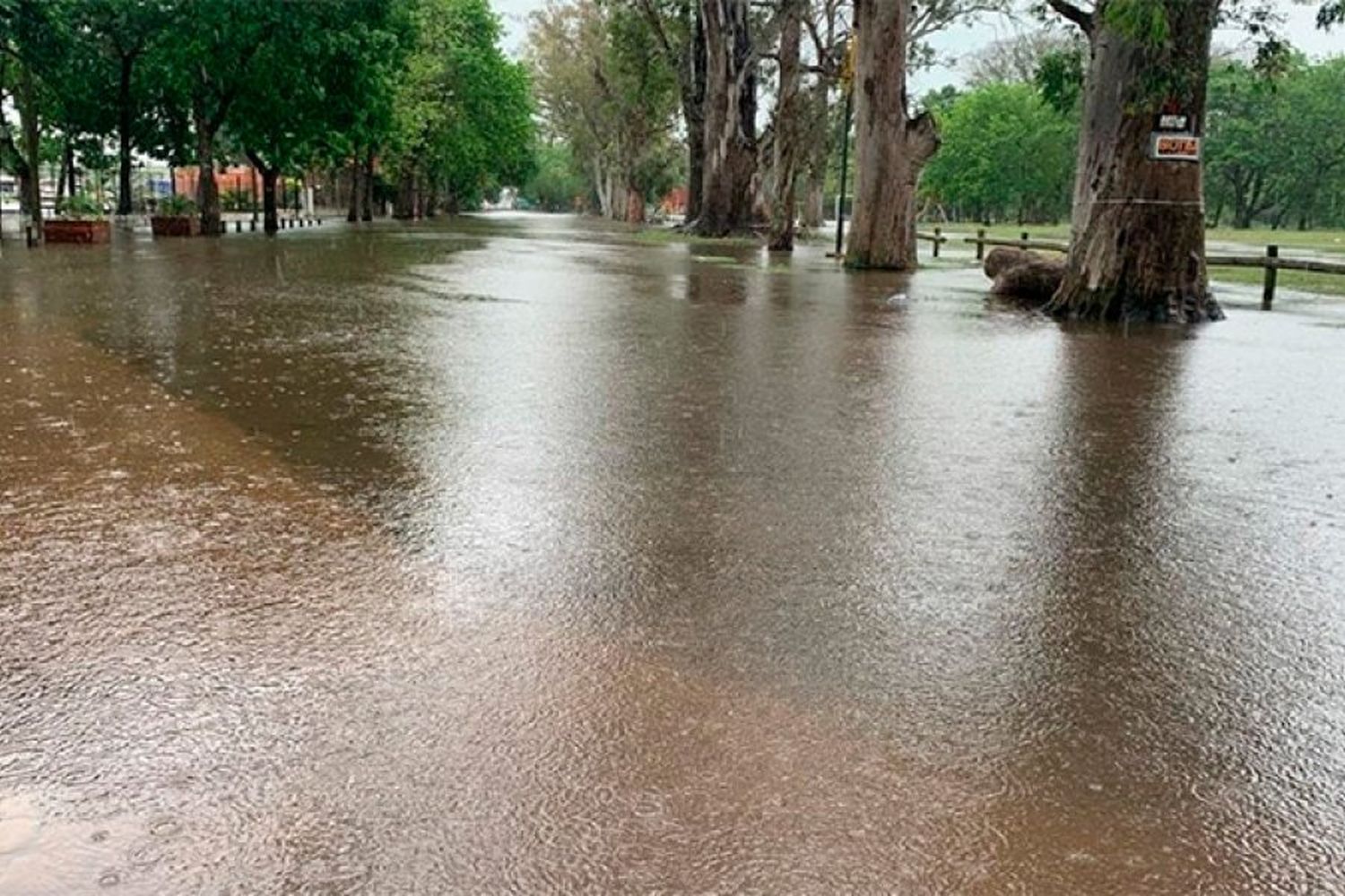 Estiman que la creciente en Gualeguaychú no se agravará, pero no se irá rápidamente