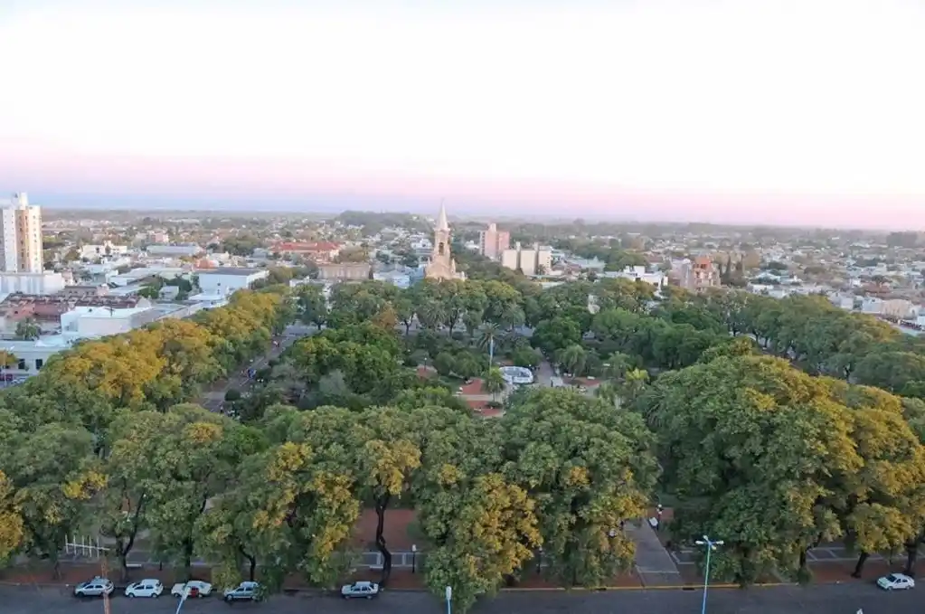 El municipio adjudicó la compra de árboles para el Plan de Forestación 2025