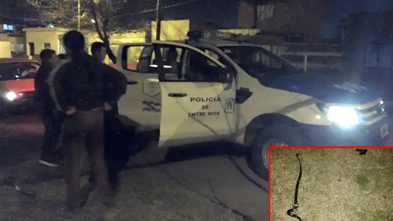 Cuatro sujetos golpearon a una embarazada para arrebatarle la cartera
