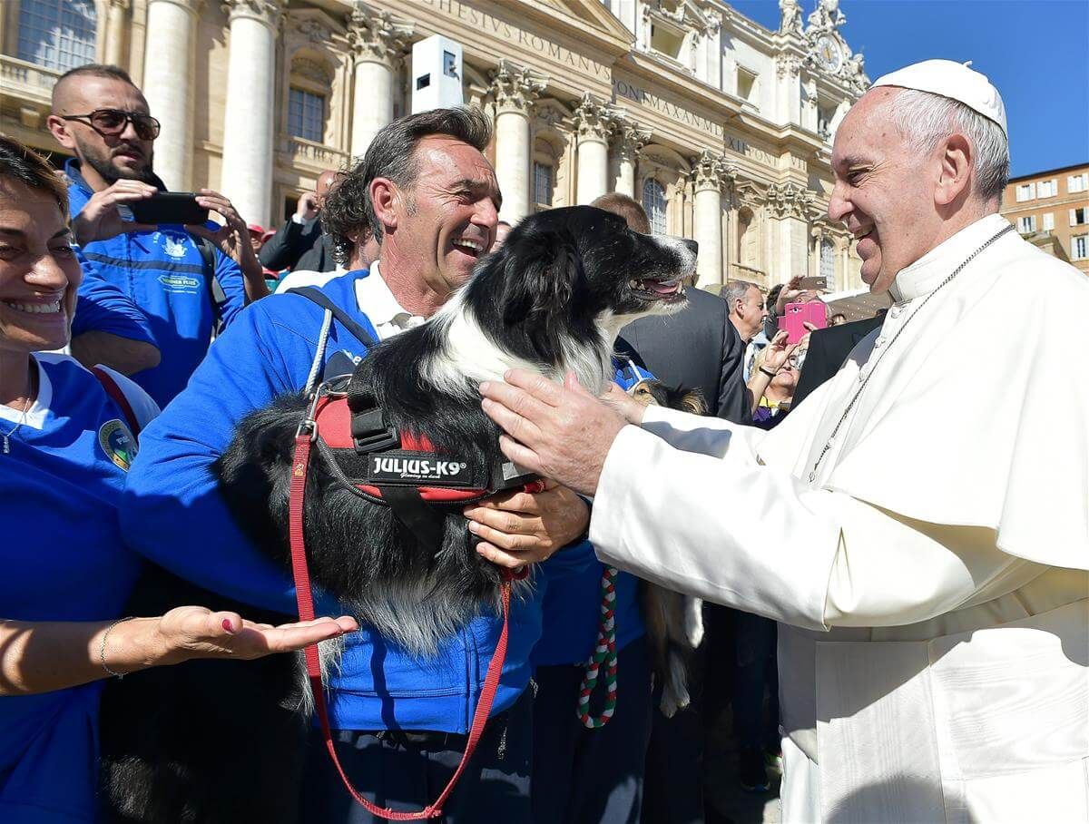 ¡PIDE FLEXIBILIZAR LAS ADOPCIONES! Papa Francisco lamenta que las mascotas remplacen a los niños