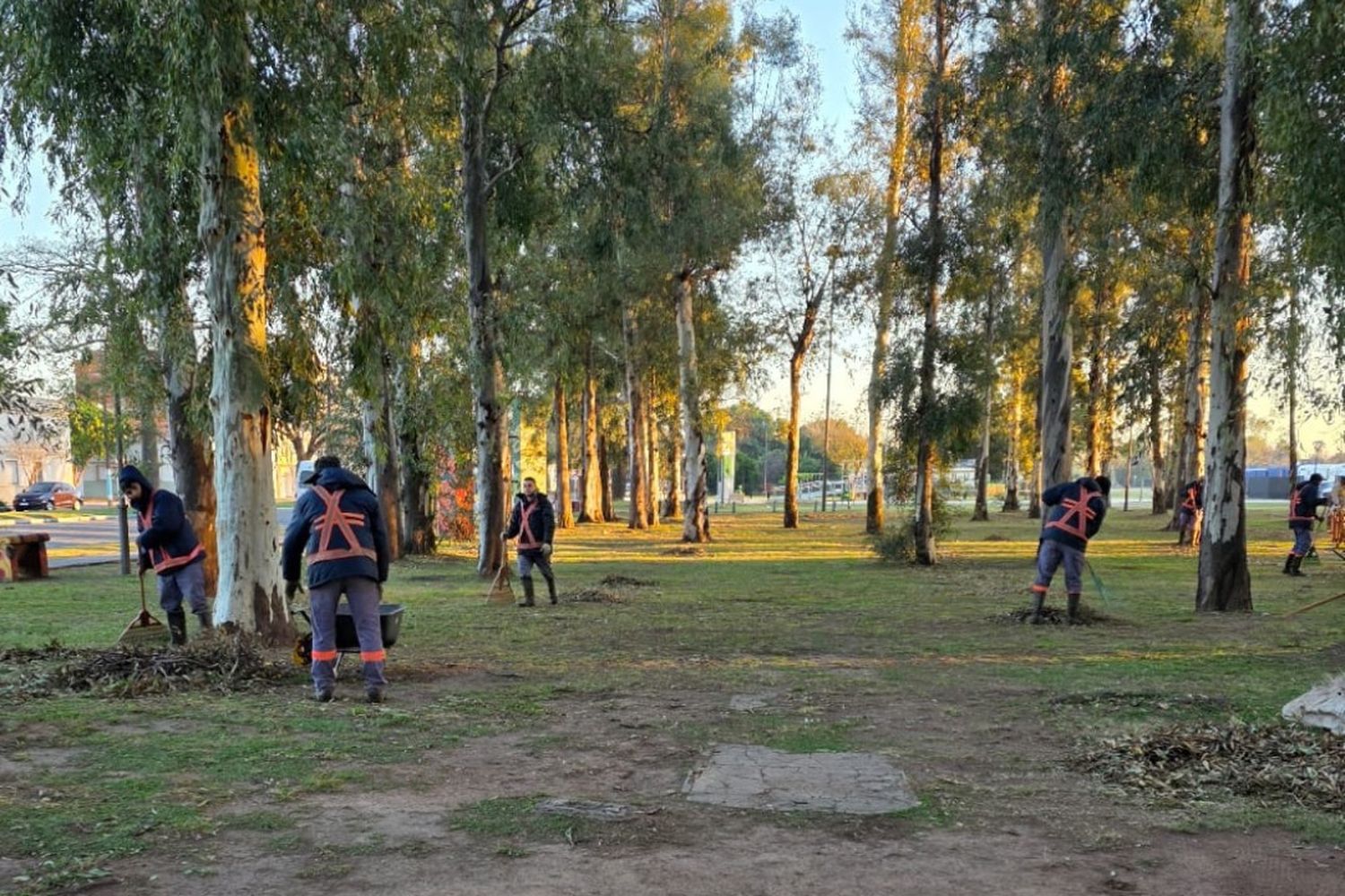 Tareas de limpieza en el Parque "Pueblos originarios de Awayayala"