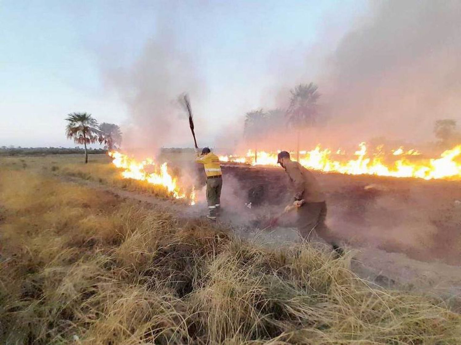 Bomberos de Formosa intervinieron en más de 
40 incendios por quema de pastizales esta semana