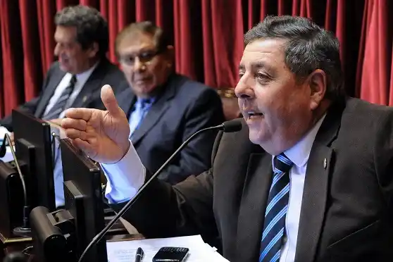 Ley de Humedales: Por 45 votos a 14 el proyecto volvió a comisión