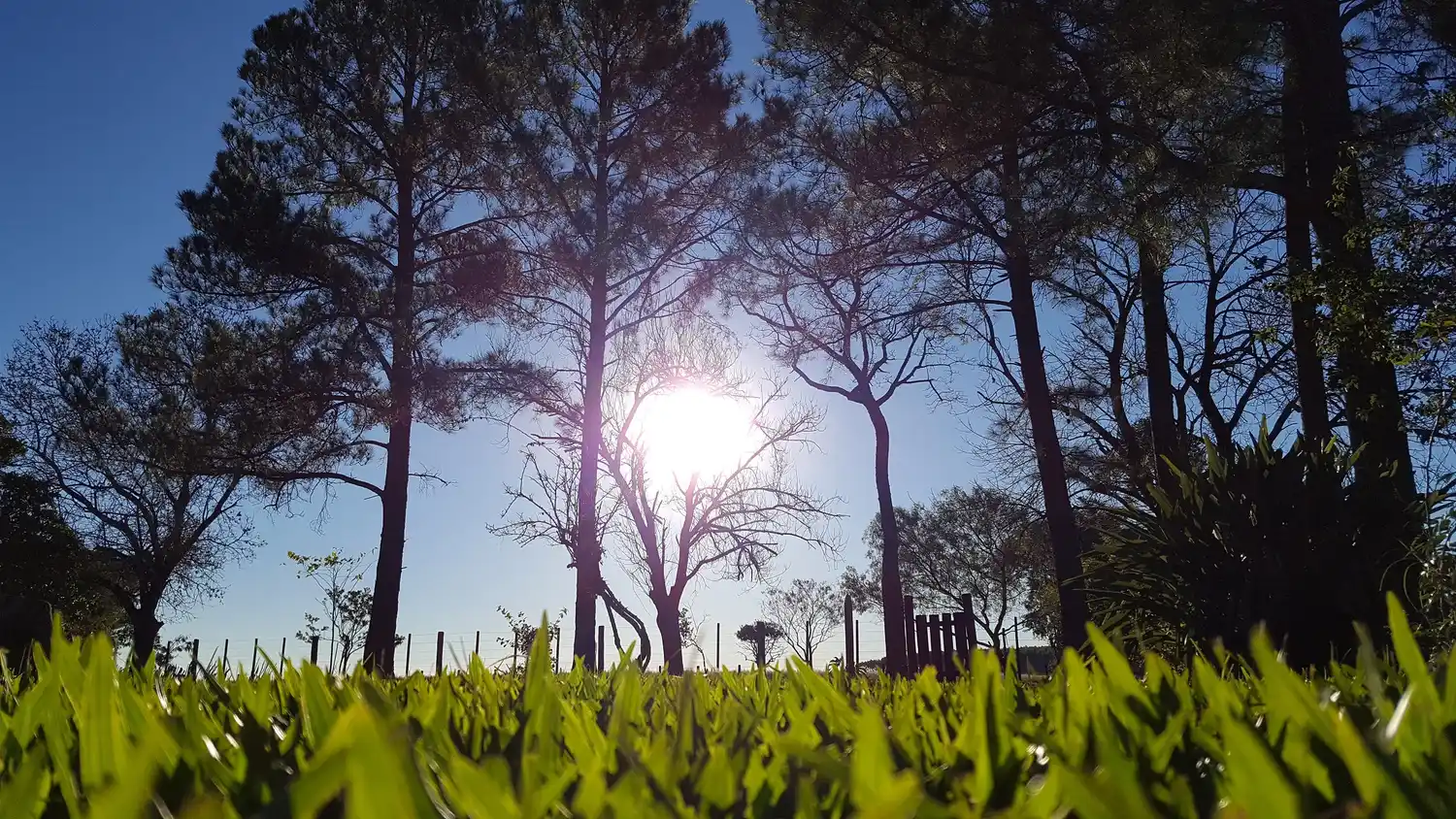 Quedarán 282 mil hectáreas sin posibilidad de producir en Entre Ríos