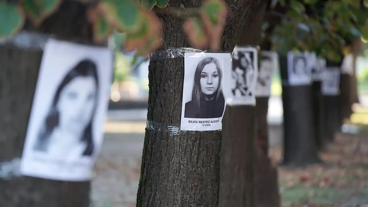 En los árboles. Se recuerda a quienes desaparecieron en la dictadura