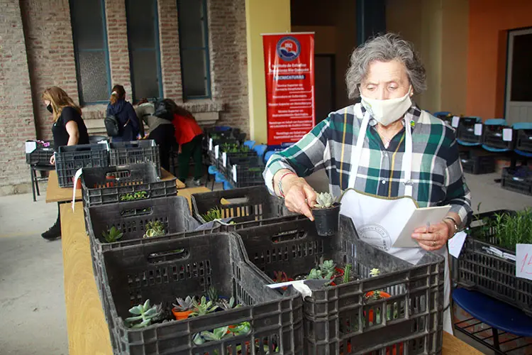 Gran variedad de plantines en la venta del grupo Garden