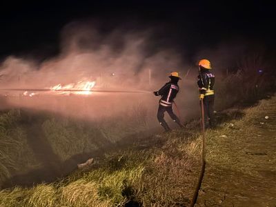 Bomberos controló dos focos de incendio en el sur de Venado