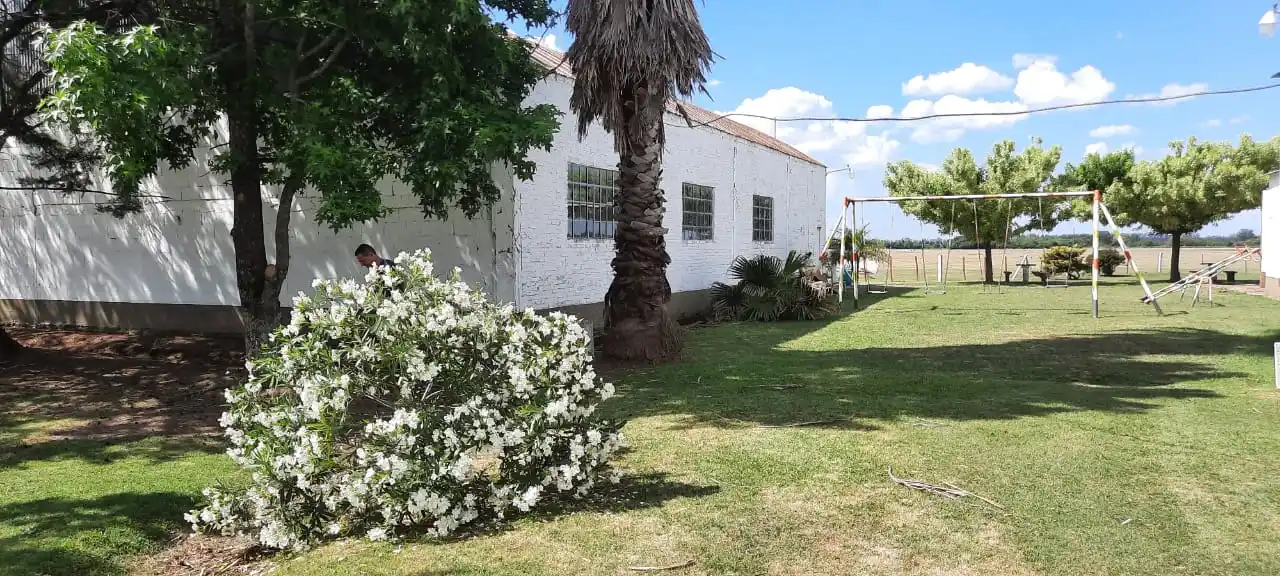 Desalojo en el Aeroclub: permiten mantener aviones en el hangar principal hasta la asamblea extraordinaria