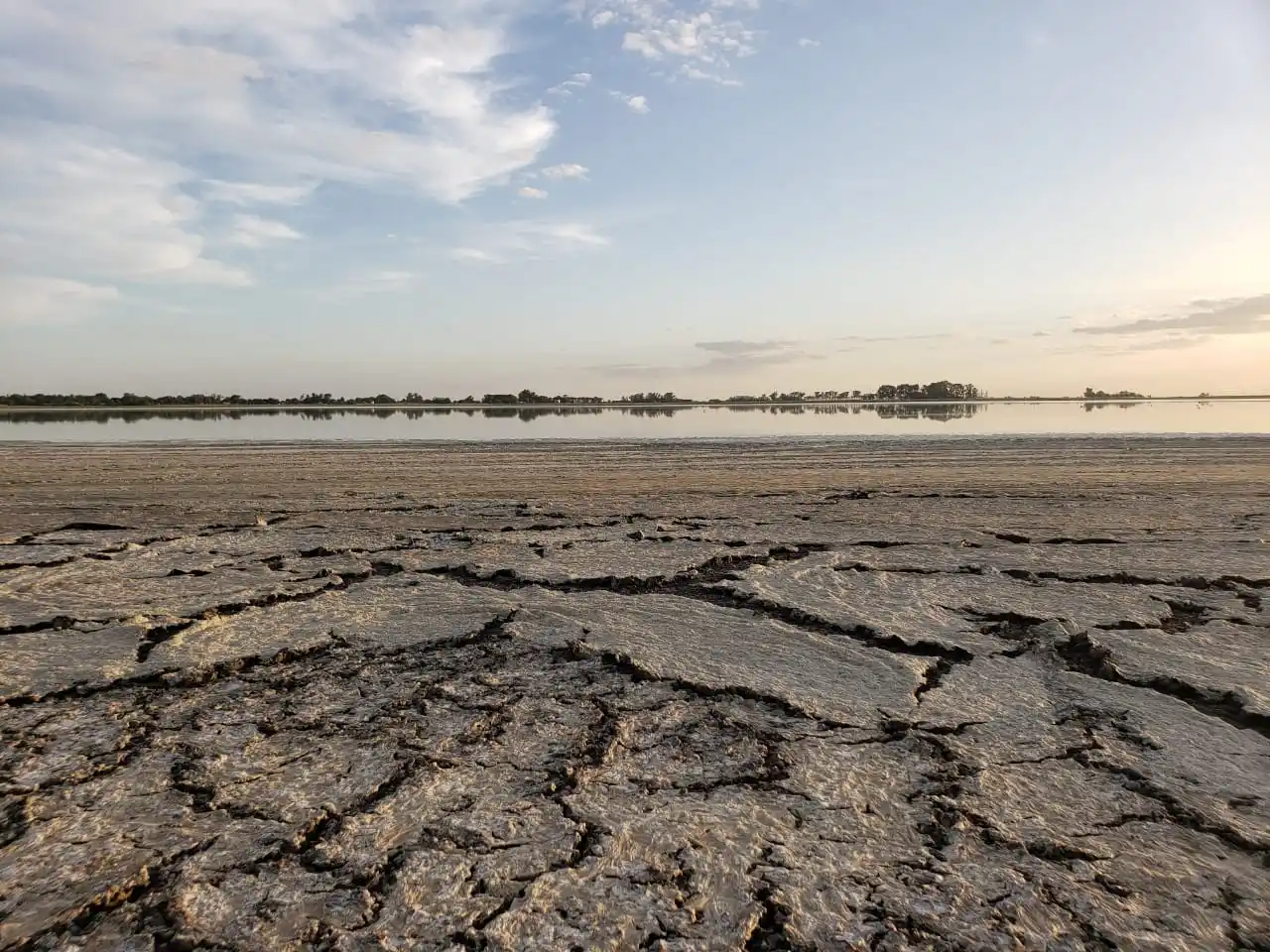 Efectos de la sequía: la laguna “Las Lágrimas” de San Eduardo se quedó sin agua