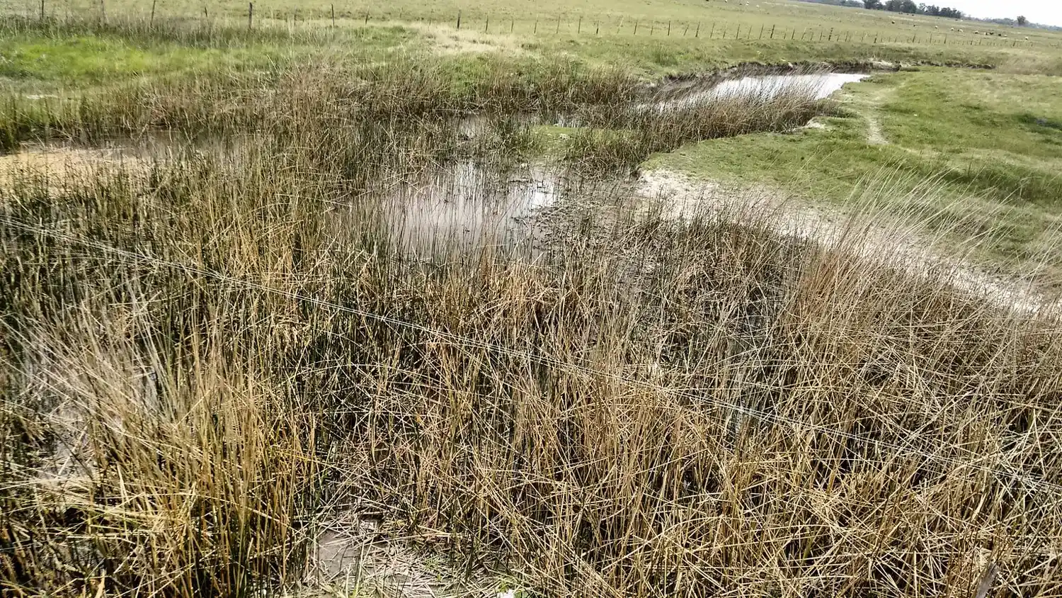 Vecinos contra el posible cambio de traza de la Ruta 6: Advierten que se destruirá un espacio natural