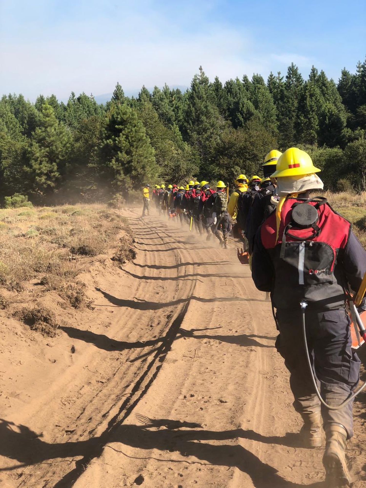 Incendio en Los Alerces: brigadistas combaten el fuego en una jornada muy calurosa