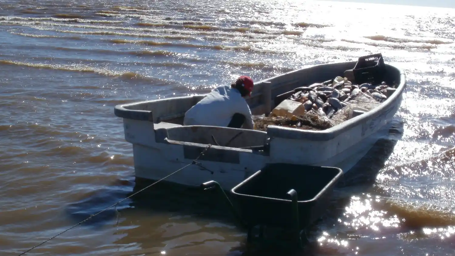 Santo Tomé: prórroga de las licencias de pesca comercial y permisos de pesca de subsistencia