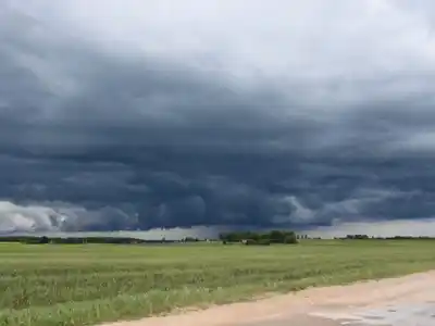 Fuertes lluvias complican la recolección de soja en la región núcleo