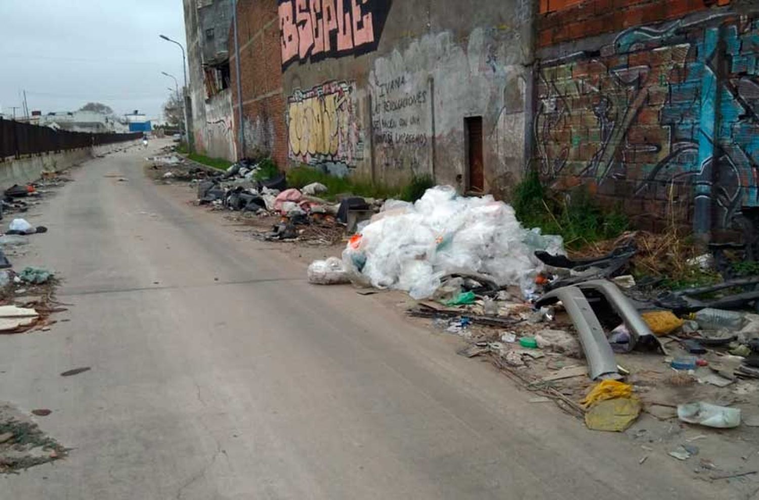 Vecinos denuncian basural a un costado de las vías del tren