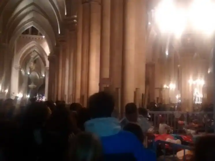 Peregrinación a Luján: Poli encabezó la misa central ante una multitud