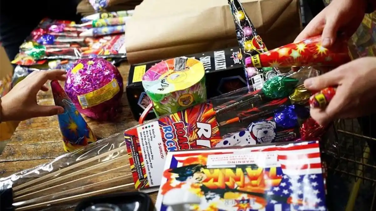 ¡MASCOTAS LO AGRADECEN! Prohíben venta, compra, uso y tenencia de fuegos artificiales sonoros en Barcelona