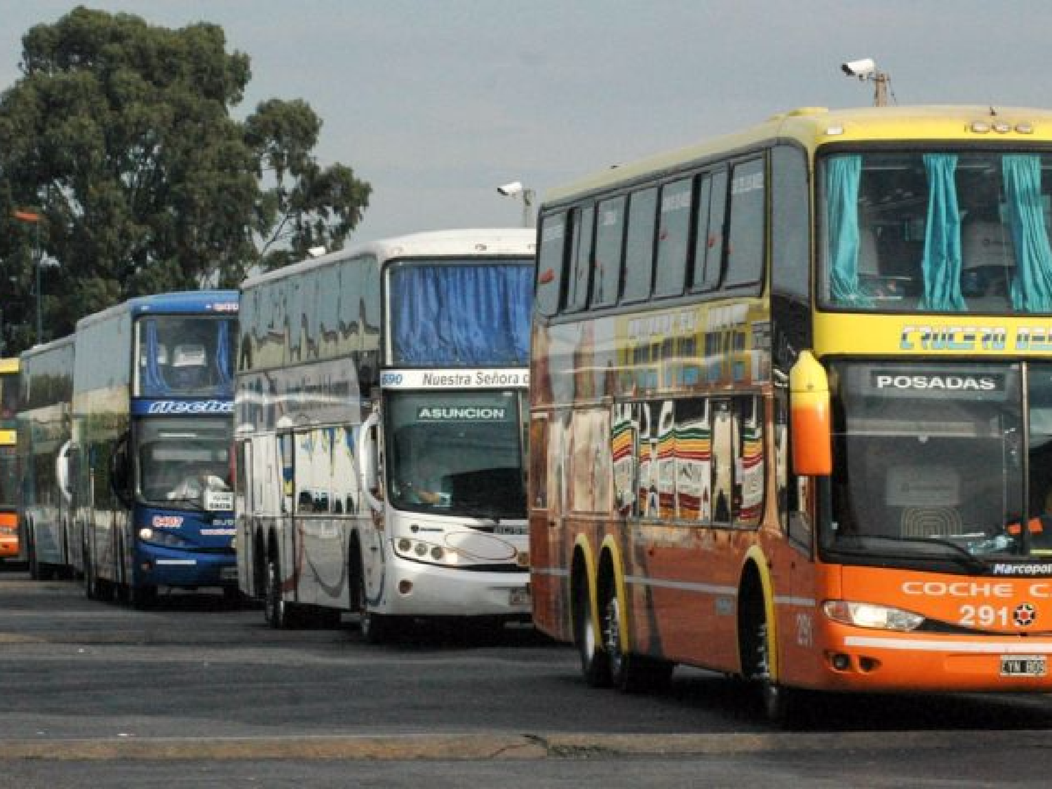 La Cámara de empresas de transporte avaló decisión oficial de investigar viabilidad de los colectivos
