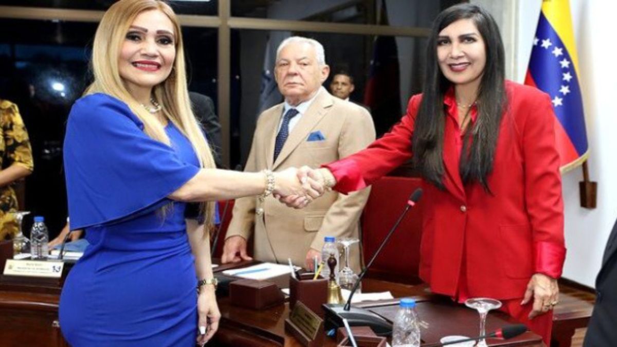 Así quedó conformada la nueva junta directiva del TSJ (Video)