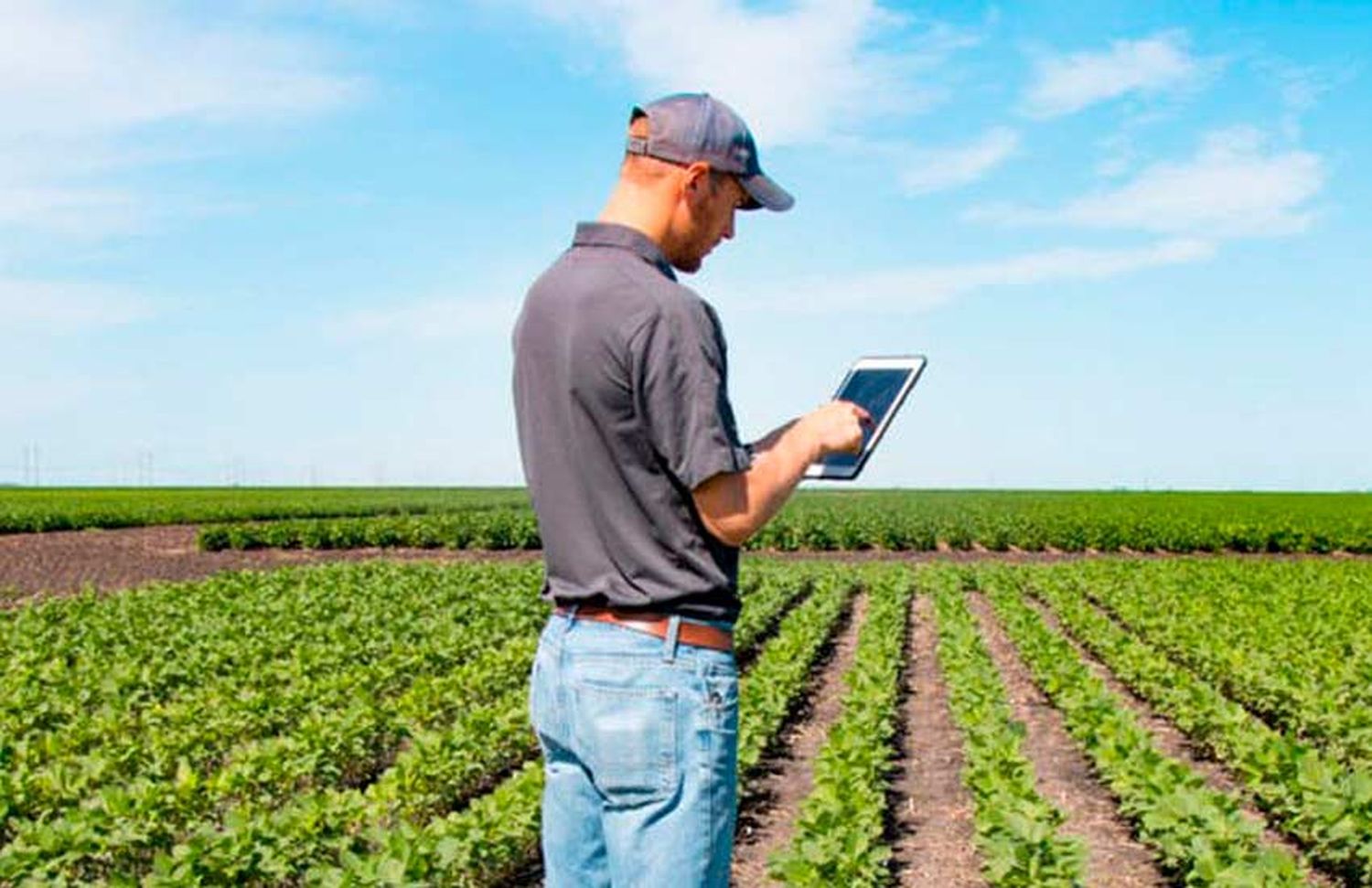 La innovadora herramienta que brindará internet a productores agropecuarios de la zona rural del Gran Rosario