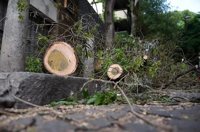 La tormenta de polvo dejó varios destrozos