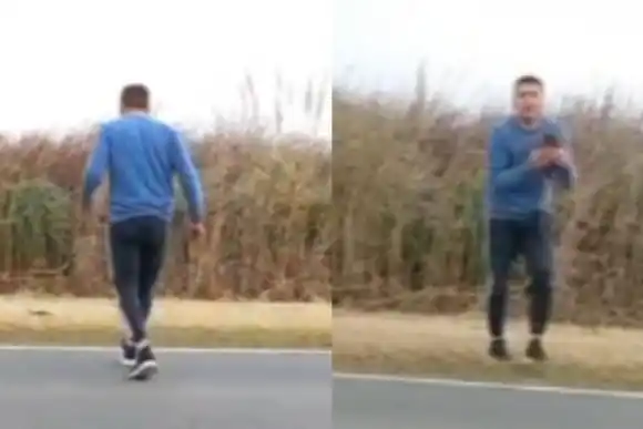 VIDEO: vio algo extraño en una ruta, frenó y la vida le cambió para siempre