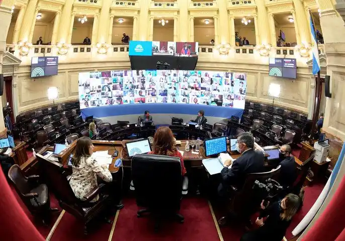 En el Congreso. Primera sesión virtual