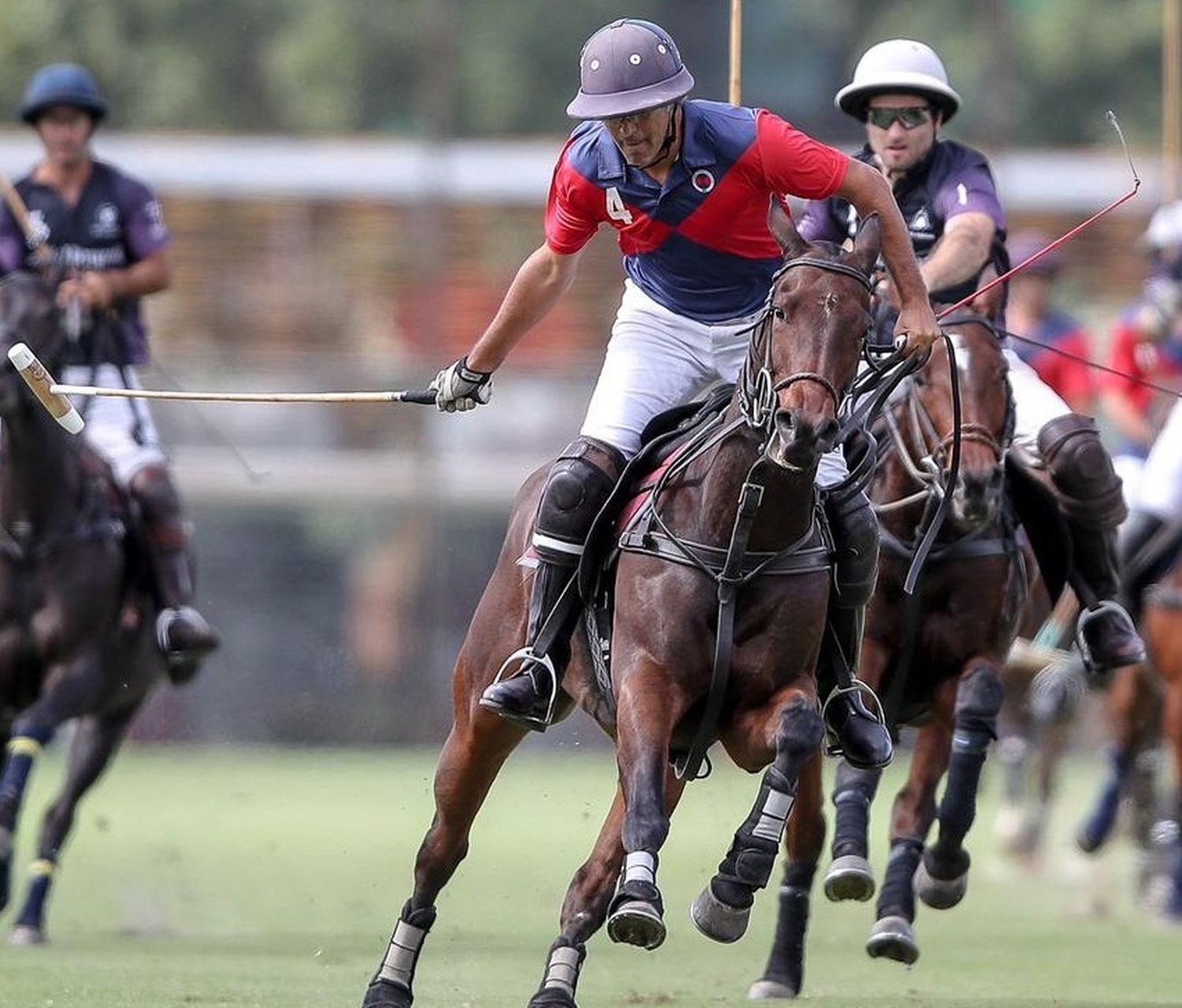 Polista de Coronel Suárez en grave estado: Cayó del caballo y está internado