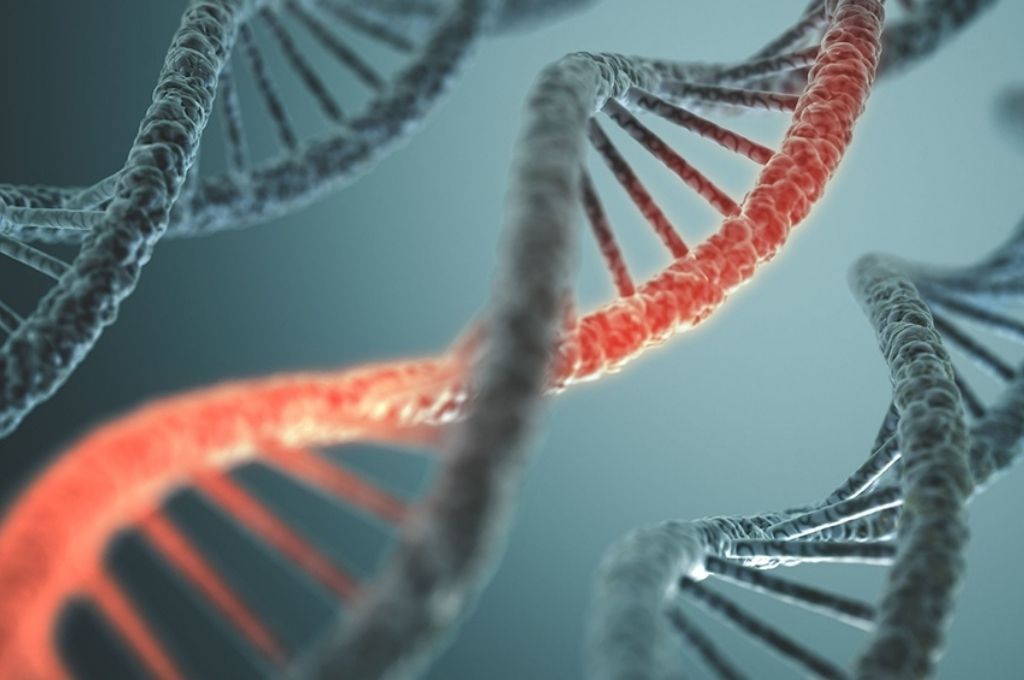 Identifican 70 genes de células pulmonares que se verían afectados por el coronavirus
