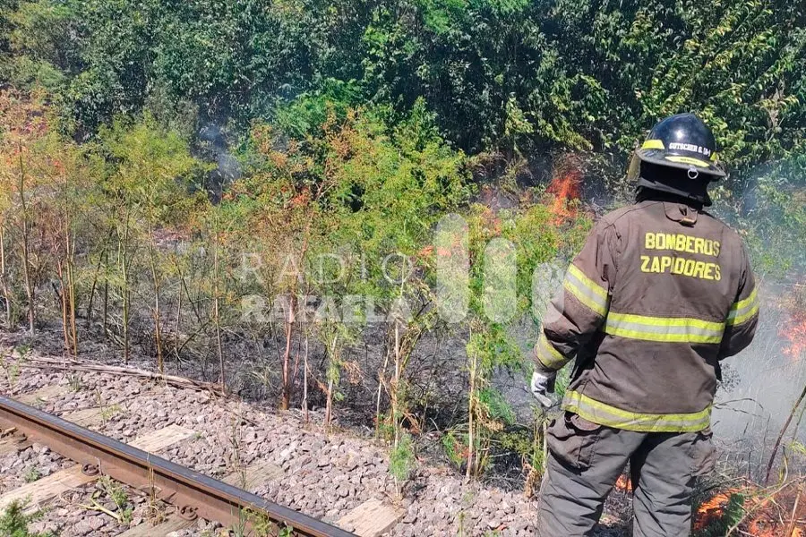 Importante foco ígneo en las vías del ferrocarril Mitre: demoraron casi 4hs en apagarlo