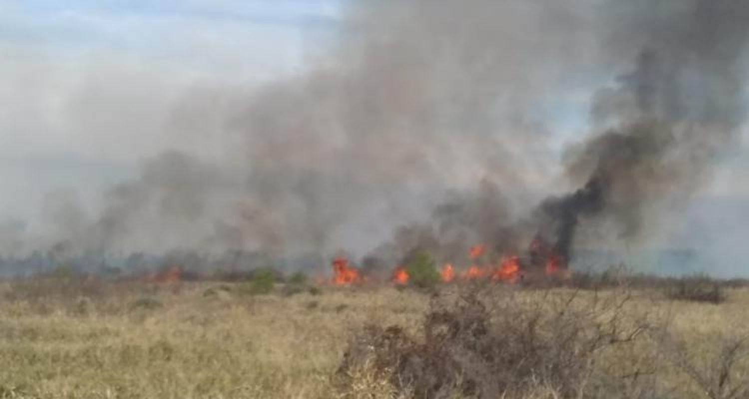 Respaldo en el Concejo al proyecto para evitar cambios en el uso de suelo en zonas incendiadas
