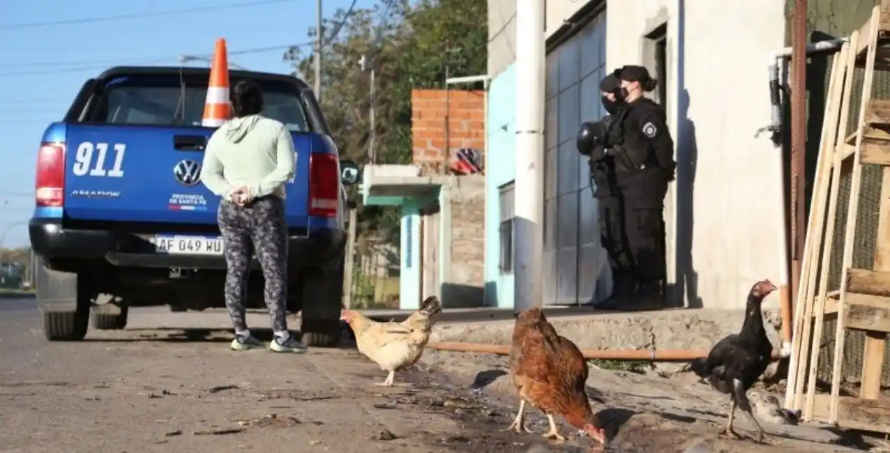 Allanan nuevamente la casa del “Viejo” Cantero para rescatar animales