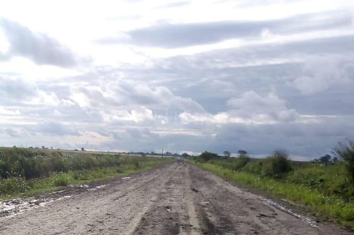 Las lluvias y su impacto en el campo
